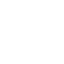 Shield Icon